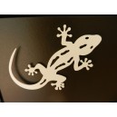 Gecko